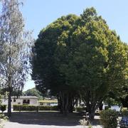 Carentoir 12/07/2022