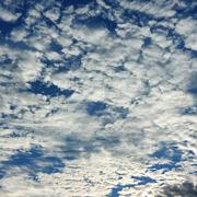 Saint-Fulgent 13/07/2022