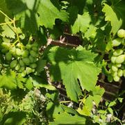 Beaumont-sur-Oise 13/07/2022