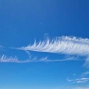 Gilly-lès-Cîteaux 13/07/2022