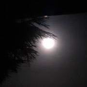 Carentoir 15/07/2022