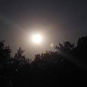 Saint-Montan 15/07/2022