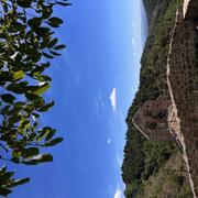 Essertines-en-Châtelneuf 17/07/2022