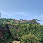 Vic-sur-Aisne 17/07/2022