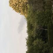 Brueil-en-Vexin 17/07/2022