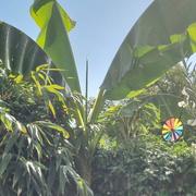 Crouttes-sur-Marne 18/07/2022