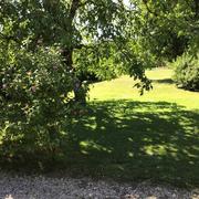 Saillenard 18/07/2022