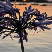 Île-Tudy 18/07/2022