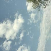 Les Blanchiots 19/07/2022