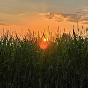 Villars-Sainte-Croix 20/07/2022