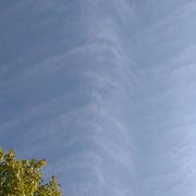 Carentoir 21/07/2022