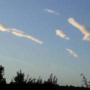 Estrée-Wamin 25/07/2022