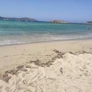 Plage de Chiuni 26/07/2022