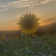 Sainte-Alvère 26/07/2022