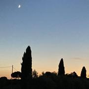 Vaison-la-Romaine 02/08/2022