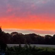 Champagne-sur-Oise 03/08/2022