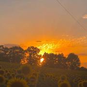 Colayrac-Saint-Cirq 05/08/2022