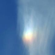 Île d'Yeu (Vendée) 08/08/2022