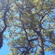 Pornichet 09/08/2022