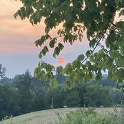 Monségur 12/08/2022