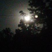 Saint-Bonnet-Elvert 13/08/2022