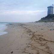 Saint-Clément-des-Baleines 14/08/2022