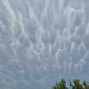 La Calmette 14/08/2022