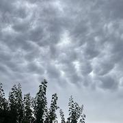 Cavaillon 14/08/2022