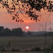 Tour-en-Sologne 16/08/2022