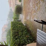 Cap de l'Esterel 17/08/2022