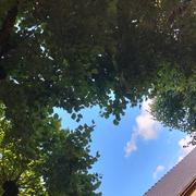 Saint-Mards-en-Othe 22/08/2022