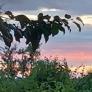 Givarlais 23/08/2022