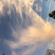 L'Isle-Adam 23/08/2022