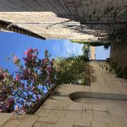 Candes-Saint-Martin 28/08/2022