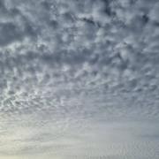 Roguennic 28/08/2022