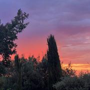 Garéoult 30/08/2022