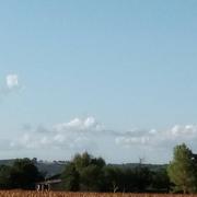 Lisle-sur-Tarn 30/08/2022