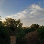 Viols-le-Fort 31/08/2022