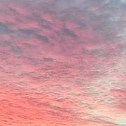 Édimbourg 06/09/2022