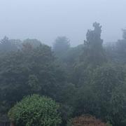 Ganshoren 11/09/2022