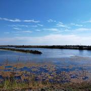 Ars-en-Ré 11/09/2022