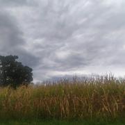 Aux-Aussat 13/09/2022