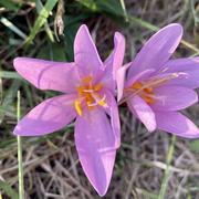 Saint-Augustin 17/09/2022