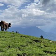 Dingy-Saint-Clair 17/09/2022