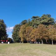 Villers-Cotterêts 17/09/2022