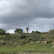Chassagne-Montrachet 18/09/2022