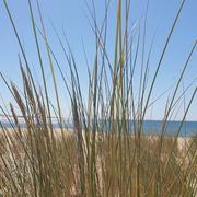 Le Cap-Ferret 20/09/2022