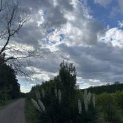 Châteaurenard 24/09/2022