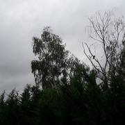 Beauchamps-sur-Huillard 25/09/2022