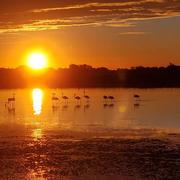 Marseillan 01/10/2022